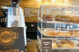 Best Coffee Shops in Sedona, AZ: Find Your Brew! | The Ultimate Coffee Guide: Types, Brewing Methods & Best Beans