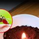 DIY Hack: Does Burning Coffee Grounds Keep Mosquitoes Away? | The Ultimate Coffee Guide: Types, Brewing Methods & Best Beans
