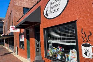 Best Coffee Shops in Clarksville TN | Local Coffee Guide | The Ultimate Coffee Guide: Types, Brewing Methods & Best Beans