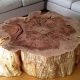 Natural Wood Tree Coffee Table: Rustic Charm | The Ultimate Coffee Guide: Types, Brewing Methods & Best Beans