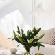 Elevate: Inspiring Coffee Table Decor & Ideas | The Ultimate Coffee Guide: Types, Brewing Methods & Best Beans