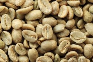 Buy Fresh Green Coffee Beans w/ Free Shipping Now! The Ultimate Coffee Guide: Types, Brewing Methods & Best Beans Buy Fresh Green Coffee Beans w/ Free Shipping Now! | The Ultimate Coffee Guide: Types, Brewing Methods & Best Beans