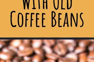 Decode Words: Coffee Lexicon Explained + More | The Ultimate Coffee Guide: Types, Brewing Methods & Best Beans