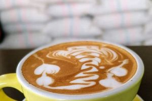 Discover Pueblo Querido Coffee: Colombia's Best Cafe & Roasters | The Ultimate Coffee Guide: Types, Brewing Methods & Best Beans