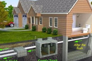 Coffee Grounds & Septic Systems: Will Coffee Kill It? The Ultimate Coffee Guide: Types, Brewing Methods & Best Beans Coffee Grounds & Septic Systems: Will Coffee Kill It? | The Ultimate Coffee Guide: Types, Brewing Methods & Best Beans
