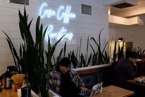 Coffee Shops Ashland Oregon | The Ultimate Coffee Guide: Types, Brewing Methods & Best Beans