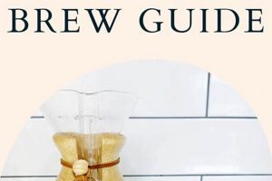 Easy Guide: How to Brew Chemex Coffee Like a Pro! | The Ultimate Coffee Guide: Types, Brewing Methods & Best Beans