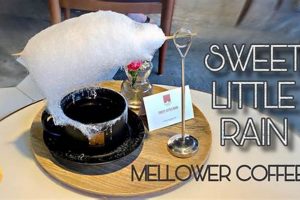 Why Cotton Candy Coffee? A Sweet Coffee Guide The Ultimate Coffee Guide: Types, Brewing Methods & Best Beans Why Cotton Candy Coffee? A Sweet Coffee Guide | The Ultimate Coffee Guide: Types, Brewing Methods & Best Beans