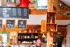 Find Your Cup: Best Coffee in Oregon's Hidden Gems | The Ultimate Coffee Guide: Types, Brewing Methods & Best Beans