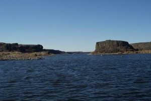Explore Coffee Pot Lake Washington: A Hidden Gem The Ultimate Coffee Guide: Types, Brewing Methods & Best Beans Explore Coffee Pot Lake Washington: A Hidden Gem | The Ultimate Coffee Guide: Types, Brewing Methods & Best Beans