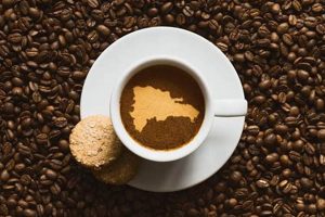 Best Coffee From Dominican Republic: A Flavorful Guide | The Ultimate Coffee Guide: Types, Brewing Methods & Best Beans