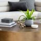 Modern Metal: Contemporary Metal Coffee Table Guide & Ideas | The Ultimate Coffee Guide: Types, Brewing Methods & Best Beans