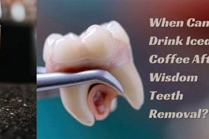 Wisdom Teeth: Iced Coffee After Removal - Is It Safe? The Ultimate Coffee Guide: Types, Brewing Methods & Best Beans Wisdom Teeth: Iced Coffee After Removal - Is It Safe? | The Ultimate Coffee Guide: Types, Brewing Methods & Best Beans