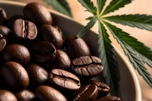 The Buzz on: Coffee Bean Edibles & Treats The Ultimate Coffee Guide: Types, Brewing Methods & Best Beans The Buzz on: Coffee Bean Edibles & Treats | The Ultimate Coffee Guide: Types, Brewing Methods & Best Beans