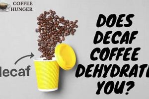 Fact Check: Does Decaf Coffee Really Dehydrate You? The Ultimate Coffee Guide: Types, Brewing Methods & Best Beans Fact Check: Does Decaf Coffee Really Dehydrate You? | The Ultimate Coffee Guide: Types, Brewing Methods & Best Beans