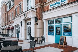 Best Gainesville Coffee Shops: Brews & Beans Near You The Ultimate Coffee Guide: Types, Brewing Methods & Best Beans Best Gainesville Coffee Shops: Brews & Beans Near You | The Ultimate Coffee Guide: Types, Brewing Methods & Best Beans
