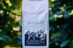 Your Guide: Foothills Coffee Shop Escapes & Treats | The Ultimate Coffee Guide: Types, Brewing Methods & Best Beans