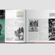 Bond on Display: A James Bond Coffee Table Book Guide | The Ultimate Coffee Guide: Types, Brewing Methods & Best Beans