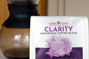 Boost Focus: Clarity Brew Mushroom Coffee Benefits The Ultimate Coffee Guide: Types, Brewing Methods & Best Beans Boost Focus: Clarity Brew Mushroom Coffee Benefits | The Ultimate Coffee Guide: Types, Brewing Methods & Best Beans