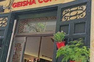 Discover Geisha Speciality Coffee: A Premium Brew The Ultimate Coffee Guide: Types, Brewing Methods & Best Beans Discover Geisha Speciality Coffee: A Premium Brew | The Ultimate Coffee Guide: Types, Brewing Methods & Best Beans