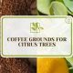 Using Coffee Grounds for Citrus Trees: Grow Better Fruit! | The Ultimate Coffee Guide: Types, Brewing Methods & Best Beans