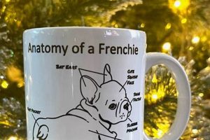 Best Frenchie Coffee Mug: Cute & Unique Mugs The Ultimate Coffee Guide: Types, Brewing Methods & Best Beans Best Frenchie Coffee Mug: Cute & Unique Mugs | The Ultimate Coffee Guide: Types, Brewing Methods & Best Beans