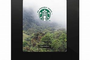 Office Starbucks: Coffee Machine Solutions [Guide] | The Ultimate Coffee Guide: Types, Brewing Methods & Best Beans