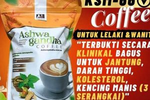 Ashwagandha Coffee The Ultimate Coffee Guide: Types, Brewing Methods & Best Beans Ashwagandha Coffee | The Ultimate Coffee Guide: Types, Brewing Methods & Best Beans