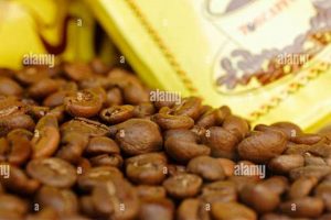 Best Italian Coffee Beans: Aromatic Blends from Italy The Ultimate Coffee Guide: Types, Brewing Methods & Best Beans Best Italian Coffee Beans: Aromatic Blends from Italy | The Ultimate Coffee Guide: Types, Brewing Methods & Best Beans