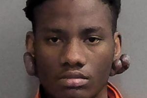 Unveiling Joshua Brown in Coffee County TN: Roots & Records The Ultimate Coffee Guide: Types, Brewing Methods & Best Beans Unveiling Joshua Brown in Coffee County TN: Roots & Records | The Ultimate Coffee Guide: Types, Brewing Methods & Best Beans