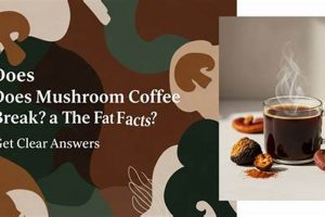 Coffee Info: Does Mushroom Coffee Break a Fast? Guide The Ultimate Coffee Guide: Types, Brewing Methods & Best Beans Coffee Info: Does Mushroom Coffee Break a Fast? Guide | The Ultimate Coffee Guide: Types, Brewing Methods & Best Beans