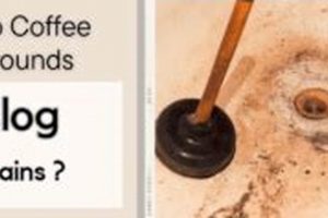 Prevent Clogs: Will Coffee Grounds Clog Drains? Tips The Ultimate Coffee Guide: Types, Brewing Methods & Best Beans Prevent Clogs: Will Coffee Grounds Clog Drains? Tips | The Ultimate Coffee Guide: Types, Brewing Methods & Best Beans