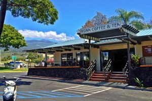 Best Coffee Shops in Hilo, Hawaii: Your Ultimate Guide The Ultimate Coffee Guide: Types, Brewing Methods & Best Beans Best Coffee Shops in Hilo, Hawaii: Your Ultimate Guide | The Ultimate Coffee Guide: Types, Brewing Methods & Best Beans