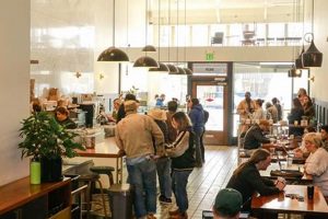 Your Guide to Coffee Highland Park: Shops & Brews | The Ultimate Coffee Guide: Types, Brewing Methods & Best Beans