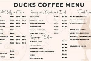 Ducks Coffee Shop | The Ultimate Coffee Guide: Types, Brewing Methods & Best Beans
