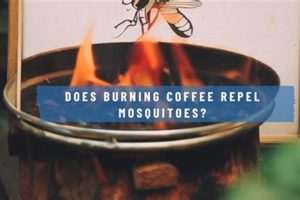 DIY: Does Burning Coffee Grounds Repel Mosquitoes? | The Ultimate Coffee Guide: Types, Brewing Methods & Best Beans