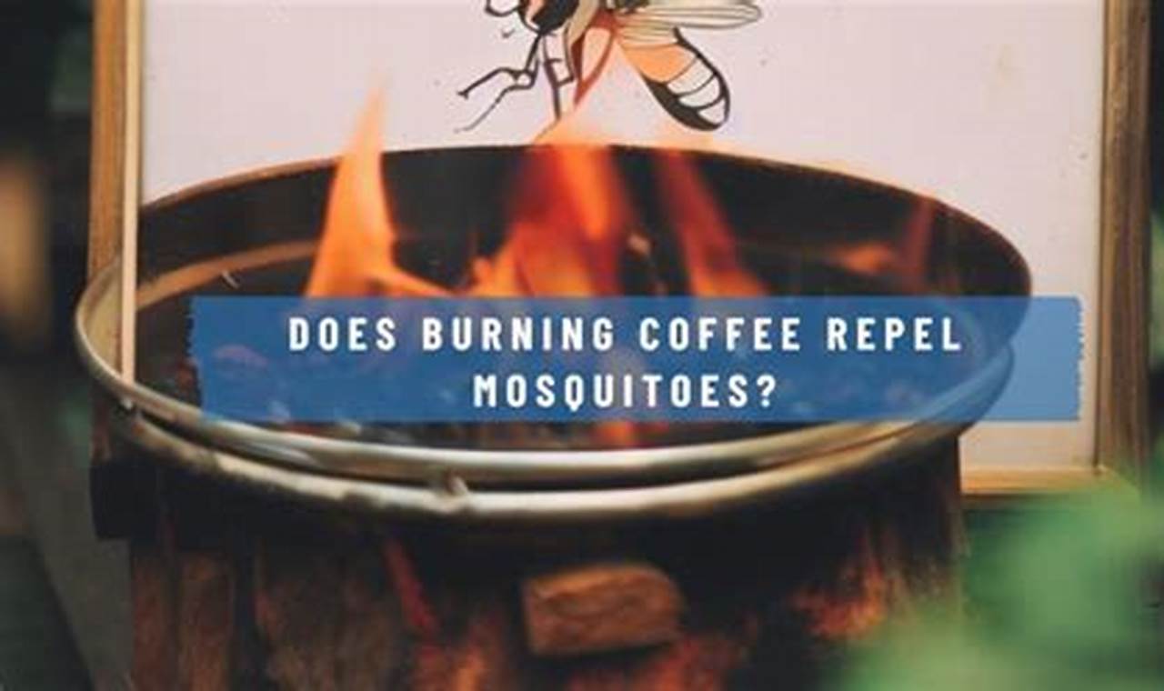 DIY: Does Burning Coffee Grounds Repel Mosquitoes? The Ultimate Coffee Guide: Types, Brewing Methods & Best Beans DIY: Does Burning Coffee Grounds Repel Mosquitoes? | The Ultimate Coffee Guide: Types, Brewing Methods & Best Beans