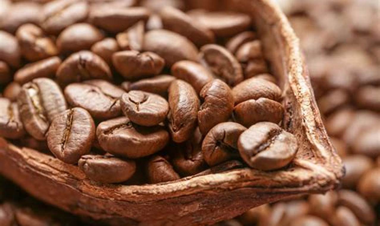 Chocolatey Coffee Beans The Ultimate Coffee Guide: Types, Brewing Methods & Best Beans Chocolatey Coffee Beans | The Ultimate Coffee Guide: Types, Brewing Methods & Best Beans