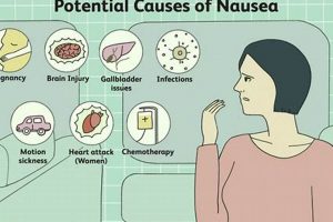 Coffee Nausea: Why Do I Feel Nausea After Drinking Coffee? The Ultimate Coffee Guide: Types, Brewing Methods & Best Beans Coffee Nausea: Why Do I Feel Nausea After Drinking Coffee? | The Ultimate Coffee Guide: Types, Brewing Methods & Best Beans