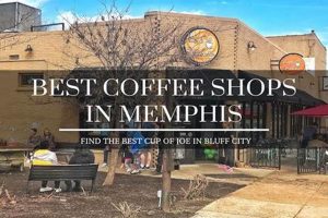 Memphis' Best Coffee Shops: A Local's Guide The Ultimate Coffee Guide: Types, Brewing Methods & Best Beans Memphis' Best Coffee Shops: A Local's Guide | The Ultimate Coffee Guide: Types, Brewing Methods & Best Beans