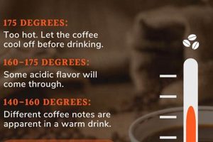 Best Temperature to Drink Coffee: Flavor & Safety Tips The Ultimate Coffee Guide: Types, Brewing Methods & Best Beans Best Temperature to Drink Coffee: Flavor & Safety Tips | The Ultimate Coffee Guide: Types, Brewing Methods & Best Beans