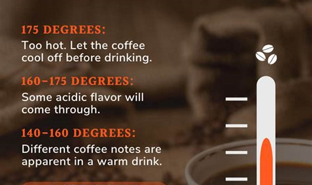 Best Temperature to Drink Coffee: Flavor & Safety Tips The Ultimate Coffee Guide: Types, Brewing Methods & Best Beans Best Temperature to Drink Coffee: Flavor & Safety Tips | The Ultimate Coffee Guide: Types, Brewing Methods & Best Beans