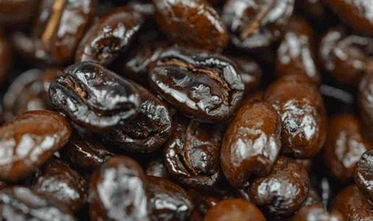Why Are Oily Coffee Beans Bad? Myths & Facts The Ultimate Coffee Guide: Types, Brewing Methods & Best Beans Why Are Oily Coffee Beans Bad? Myths & Facts | The Ultimate Coffee Guide: Types, Brewing Methods & Best Beans
