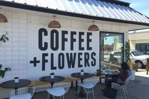 North Park Coffee Shops San Diego | The Ultimate Coffee Guide: Types, Brewing Methods & Best Beans