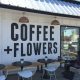 North Park Coffee Shops San Diego | The Ultimate Coffee Guide: Types, Brewing Methods & Best Beans