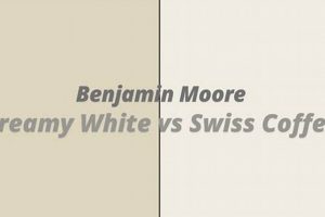 Creamy or Swiss? Benjamin Moore Creamy White vs Swiss Coffee Guide | The Ultimate Coffee Guide: Types, Brewing Methods & Best Beans