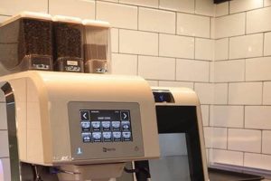 Affordable Coffee Machine Rental: Brew Better Now! | The Ultimate Coffee Guide: Types, Brewing Methods & Best Beans