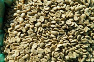 Buy Fresh Green Kona Coffee Beans - [Your Brand] | The Ultimate Coffee Guide: Types, Brewing Methods & Best Beans