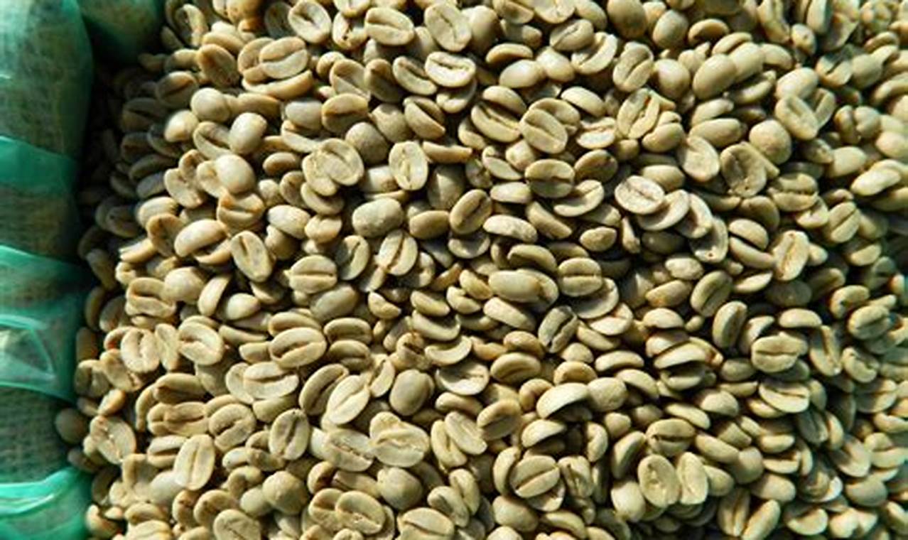 Buy Fresh Green Kona Coffee Beans - [Your Brand] | The Ultimate Coffee Guide: Types, Brewing Methods & Best Beans