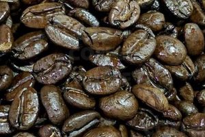 Discover: Guatemala Coffee Beans - Rich Aroma | The Ultimate Coffee Guide: Types, Brewing Methods & Best Beans